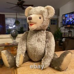 Educa Rare German Teddy Bear 21 Jointed Head Open Mouth Mohair Hump Compartment