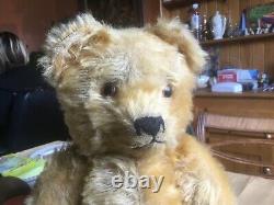 Excellent Tara Irish Golden Mohair Teddy Bear 15 Tall With Growler