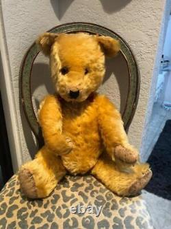 Exquisite! Antique 1940's Chiltern British Teddy Bear Thick Gold Mohair 23 MINT