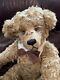 Fantastic 25 Golden Brown Mohair Teddy Bear by artist Pamela Wooley