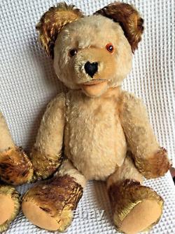 Fechter Antique Teddy Bear lot Old 13.8'' Growler Tipped Mohair Open Mouth Rare