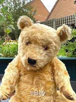 Gorgeous Big Cuddly Golden Mohair Chiltern Hugmee Teddy Bear 24