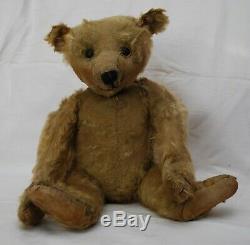 Gorgeous Played With 1900's 21 Antique Mohair Steiff Teddy Bear No Button