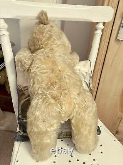 Harry Vintage Chiltern Mohair Teddy Bear 19 with Gorgeous Bespoke Outfit