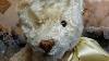 How To Replace Antique Or Vintage Teddy Bear Glass Eyes Restoring A Vintage 1950s Steiff Bear