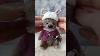 Krosha 18 CM Mohair Handmade Teddybear