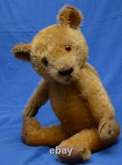 Lovely 1930s Antique 20 Golden Mohair Chad Valley Magna Teddy Bear With Label
