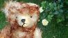 Meet Claus My Latest Antique German Teddy Bear