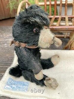 Pip Rare 1920's Farnell Dog 11 Old Antique Vintage English Teddy Bear