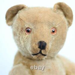 Pre-War Antique Bing Teddy Bear 1910 Character Hunchback Mohair Bear w Cat Ours