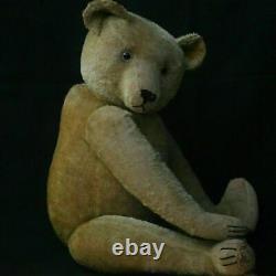 Pre-War Antique giant Bing Teddy Bear 31.9 inch 1910s rare Character hump Bear