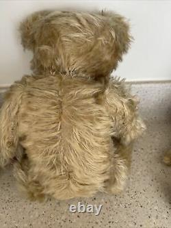 Pre-war. 1910 English Teddy Bear Tag Made In Ireland. Thick Soft Mohair