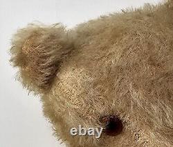 Primative Early Mohair Straw Stuffed Jointed Teddy Bear 16