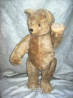 RARE 21 TALL SHUCO MOHAIR TRICKY YES / NO HEAD TURNING TEDDY BEAR with GLASS EYES