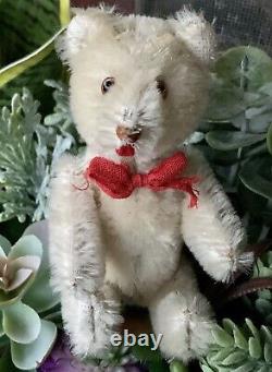 RARE WHITE 5 Mohair Schuco Yes / No Teddy Bear With Tongue Tricky Jointed