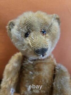 Rare 1920's Orange Rust Mohair Teddy Bear 12