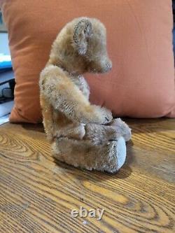 Rare 1920's Orange Rust Mohair Teddy Bear 12