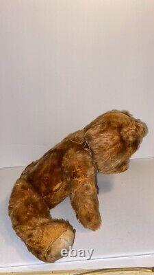 Rare Antique Golden Mohair Teddy Bear Early American 1910-20 Jointed #8