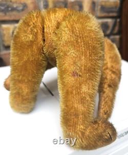 Rare Antique Steiff Teddy Bear Golden Mohair Hair Straw Filled Middle Seam Metal