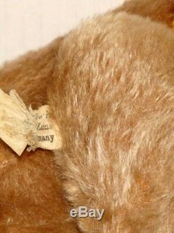 Rare Vintage 14 1951-3 Camel Original Mohair Steiff Teddy Bear ATB112312196