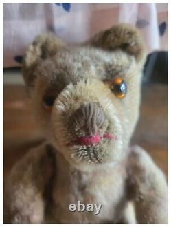 Rare Vintage Educa Eduard Cramer Mohair Bearkin Teddy Bear