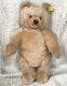 STEIFF ORIGINAL TEDDY BEAR 16 0201/41 LG BOX IDs JOINTED HONEY VNTAGE 1982-87
