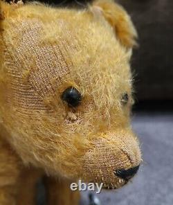 STEIFF Teddy Bear Antique Humpback Mohair Iron Wheels Shoe Button Eyes