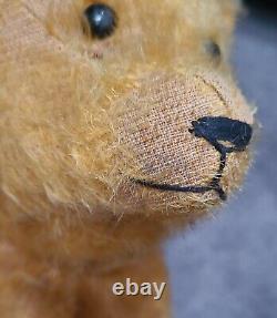 STEIFF Teddy Bear Antique Humpback Mohair Iron Wheels Shoe Button Eyes
