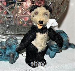 So sweet 6 all jointed German Steiff mohair Teddy Baby Panda 1950's