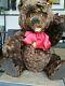 Steiff 18.25 Brown Mohair Open Mouth Smiling Happy Teddy Bear 008542 Growler