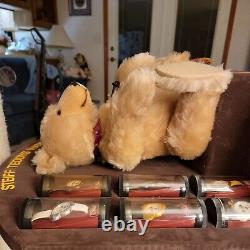 Steiff Teddys Wrist Watch Display with 18 Mohair Bear With 12 Watches And 1 On