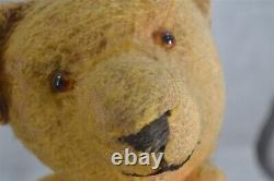 Straw stuffed bear teddy mohair gold glass eyes early 19th c original antique