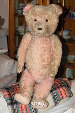 Stunning 29 German PETZ Anton Kiesewetter pink mohair teddy bear 1930's