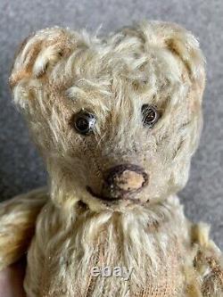 Super Rare Antique German Schuco Mohair yes/no Teddy Bear Jeweled Eyes 12 LOOK