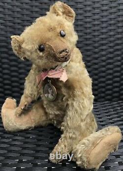 Superb Antique Farnell Mohair Jointed Teddy Bear With Boot Button Eyes C. 1910s