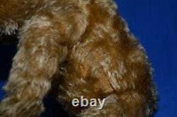 Superb Condition Antique 1930s 19 Golden Curly Mohair Chiltern Hugmee Teddy