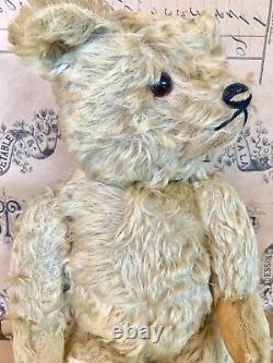 Sweet Antique English or German Mohair Jointed Teddy Bear Hump Back