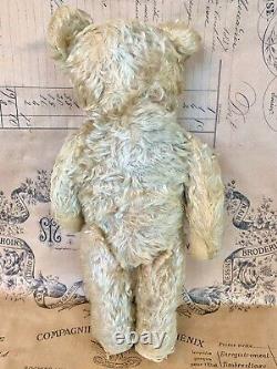 Sweet Antique English or German Mohair Jointed Teddy Bear Hump Back