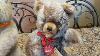 The Evolution Of German Mohair Zotty Faced Bears 1950s 1990s