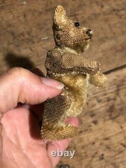 Tiny Antique Tattered Mohair Primitive Loved Jointed Teddy Bear Steiff