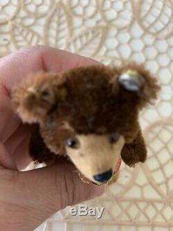 VTG Mini Steiff Mohair Teddy Baby Bear Dk Brown Mohair Button & Chest Tag Stands