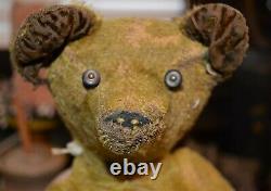Very Early Antique Straw Stuffed Mohair Teddy Jointed Bear Button Eyes Cir 1900