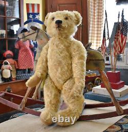 Very Large Antique Mohair Teddy Bear 28