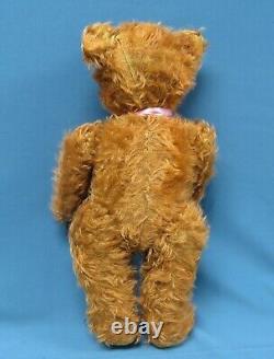 Vintage 18 Jointed Mohair Teddy Bear Possibly French