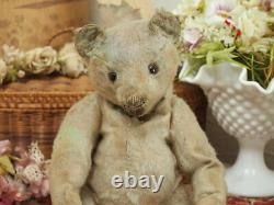 Vintage 1910 Steiff Antique Bear Full Joint Plush Doll Teddy Bear Mohair 30cm a