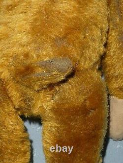 Vintage Early German Schuco Tricky Yes No Teddy Bear