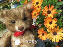 Vintage Steiff Bear Original Teddy Baby Boy B Mohair Ear Button Chest Tag 9