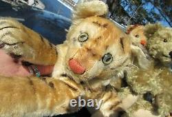 Vintage Steiff Mohair Tiger 1950 60 Antique Bear Friend 15 Green Eyes Stripes