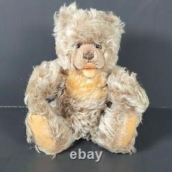 Vintage Steiff Zotty Mohair Anamorphic Jointed Plush Teddy Bear 11