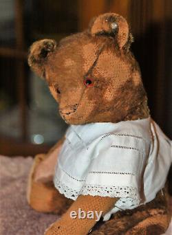 Well loved, pre war 12 brown mohair Steiff teddy bear with old button 1920's